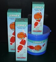 Colombo - Lernex